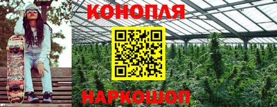 сатива Нарткала