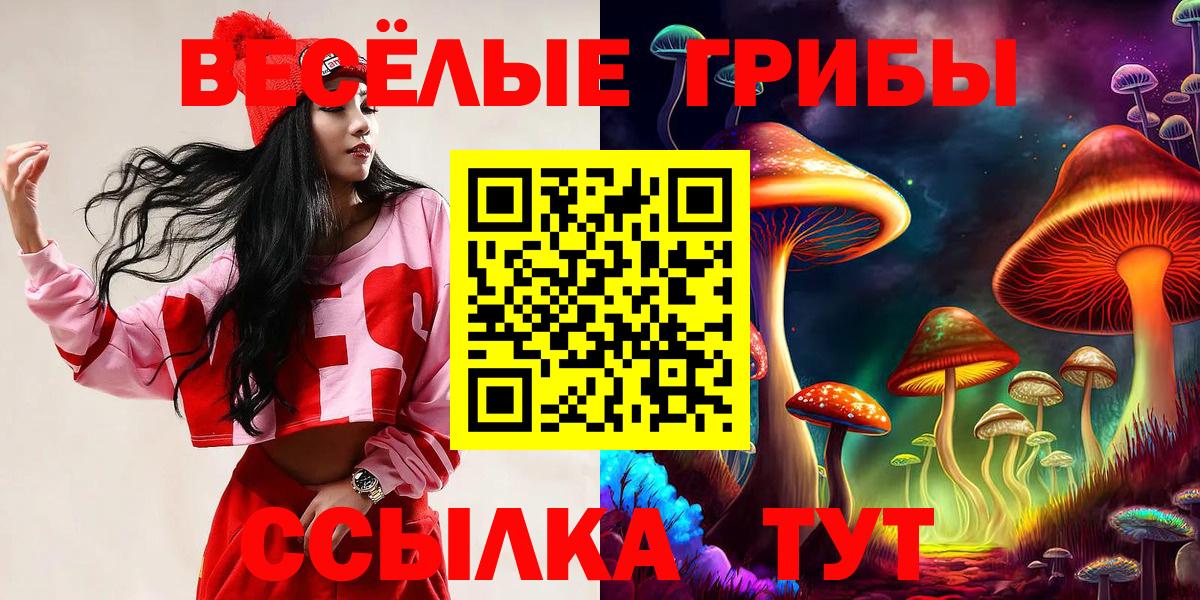Псилоцибиновые грибы MAGIC MUSHROOMS Татарск