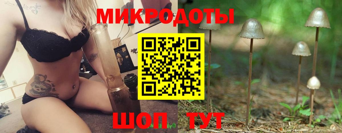 купить наркотик  Псилоцибиновые грибы GOLDEN TEACHER  Вход с VPN  Татарск 